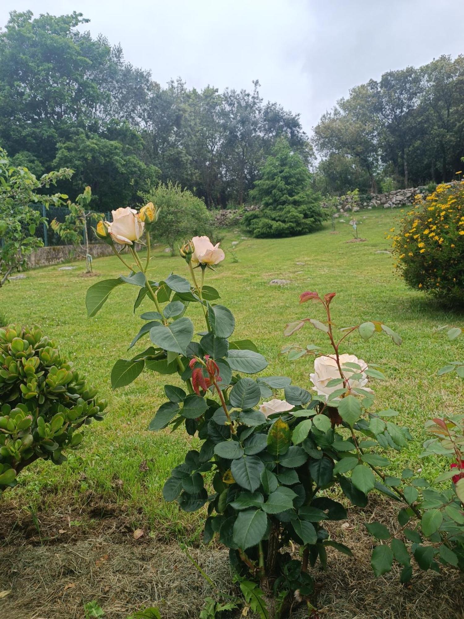 Casa Coba Camijanes