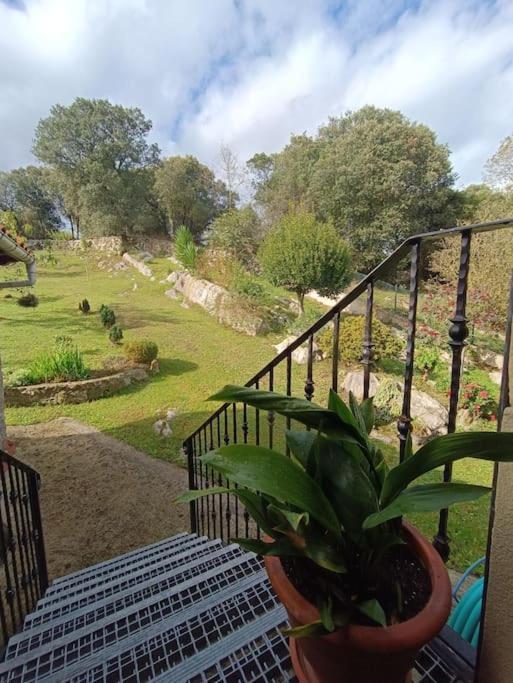 Casa Coba Chalet
